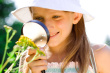 The intuitive thinker temperament values competence, rational reasoning, and intellectual complexities.